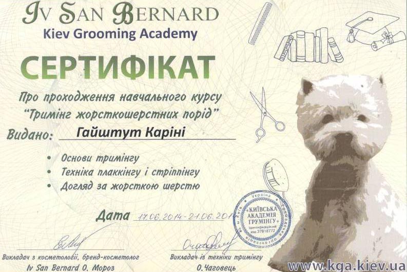 sert1.jpg