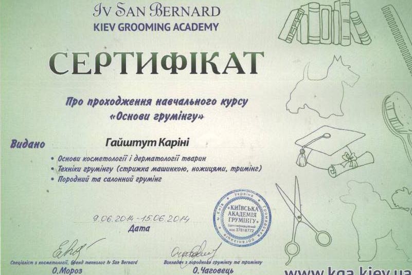 sert2.jpg