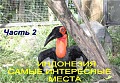 Индонезия. Самые интересные места. Часть 2