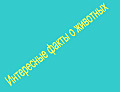 Интересные факты о животных
