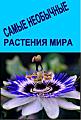 Самые необычные растения мира
